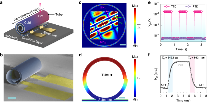 Enhanced photothermoelectric conversion in self-rolled tellurium photodetector with geometry-induced energy localization