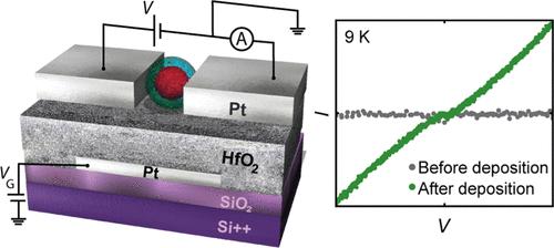 Ferritin Single-Electron Transistor