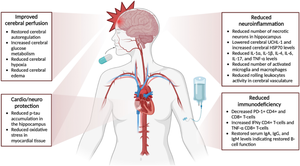 Preclinical Studies on Mechanisms Underlying the Protective Effects of Propranolol in Traumatic Brain Injury: A Systematic Review.