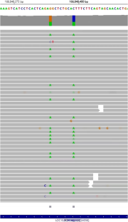 Genotypic and phenotypic characteristics of sodium channel—associated epilepsy in Chinese population