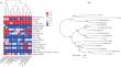 Genomic Microsatellite Mining and Characteristic Analysis of Gobiidae Fish