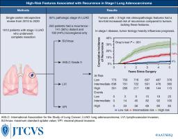 High-risk features associated with recurrence in stage I lung adenocarcinoma