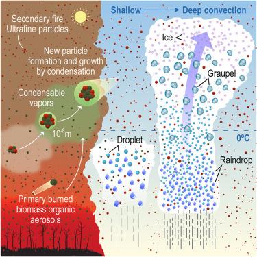 Intense formation of secondary ultrafine particles from Amazonian vegetation fires and their invigoration of deep clouds and precipitation