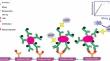 Detection of HBsAg by ELISA using MoFeNiS, MoCoFeS, MoNiCoS, and FeCoNiS nanocomposites