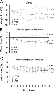 Effect of time restricted eating versus daily calorie restriction on sex hormones in males and females with obesity