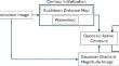 Automatic segmentation and implicit surface representation of dynamic cardiac data