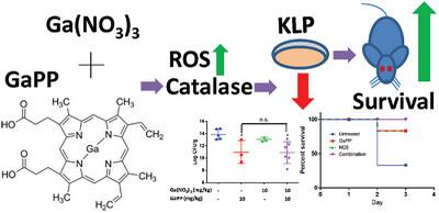 Dual Gallium Drug Treatment Against Carbapenem-Resistant Klebsiella Pneumoniae: Efficacy and Potential Mechanism(s) of Action and Resistance