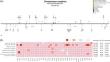 Unraveling the complex evolutionary features of the Cinnamomum camphora mitochondrial genome.