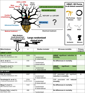 Large-scale aggregate data for left bundle branch area pacing as first line for CRT: climbing the pyramid of evidence.