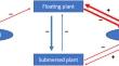 `Spatial patterns as long transients in submersed-floating plant competition with biocontrol