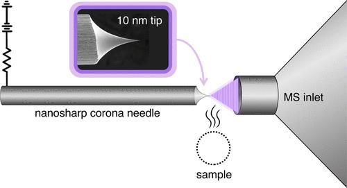 Nanoelectrode Atmospheric Pressure Chemical Ionization Mass Spectrometry.