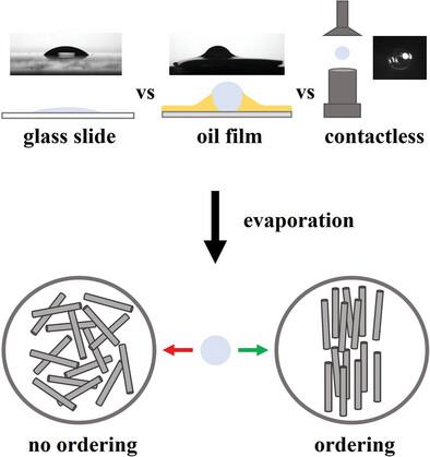 Exploring Colloidal Phase Transitions of Imogolite Nanotubes by Evaporation Induced Self‐Assembly in Levitation