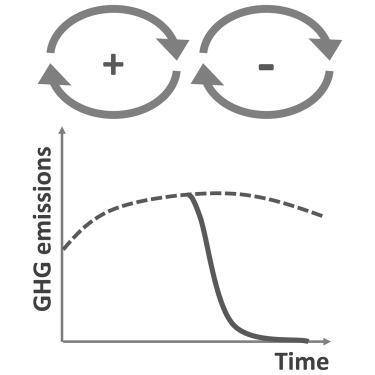 Harnessing social tipping dynamics: A systems approach for accelerating decarbonization