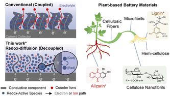 Stretchable and biodegradable plant-based redox-diffusion batteries†