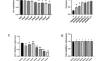 Idebenone Antagonizes P53-Mediated Neuronal Oxidative Stress Injury by Regulating CD38-SIRT3 Protein Level