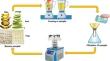 Decoding the chemical repertoire, antimicrobial synergy, and antioxidant mastery of banana pulp and peel extracts