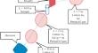 New Approaches in the Tomographic Visualization of Joints Using X-ray Contrast Nanoparticles and Laser Radiation