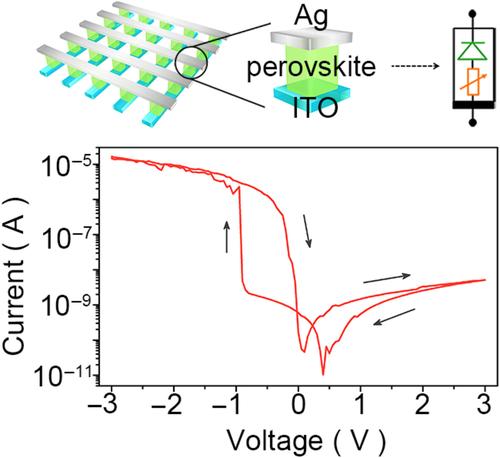 Simultaneous resistance switching and rectifying effects in a single hybrid perovskite