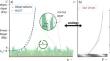 Rethinking the Roughness Height: An Improved Description of Temperature Profiles over Short Vegetation