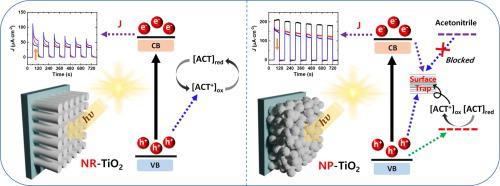 Unveiling the critical role of crystallinity in photogenerated hole transfer behavior of TiO2 with an aminoxyl radical mediator