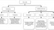 Influence of the Geometry of Cast Products on Orientation of Dendritic Crystals Growth and Formation of Hot Cracks