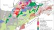 Gold occurrence and pyrite trace elements in the Xiejiagou gold deposit, Jiaodong Peninsula, China: Implications for the mineralization process