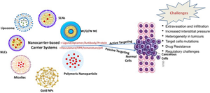 Targeted drug delivery in cancer using nanomaterials: advances and challenges