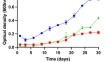 Physiology and comparative genomics of the haloalkalitolerant and hydrocarbonoclastic marine strain Rhodococcus ruber MSA14.