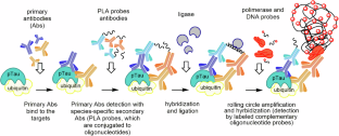 Advancement in human neuroimaging based on proximity ligation assay in brain disease.