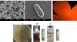 Brucella pituitosa strain BU72, a new hydrocarbonoclastic bacterium through exopolysaccharide-based surfactant production.