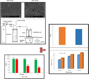 Development of polysulfone membranes and their application for removing rare earth ions from aqueous solutions by polyvinyl alcohol-enhanced ultrafiltration