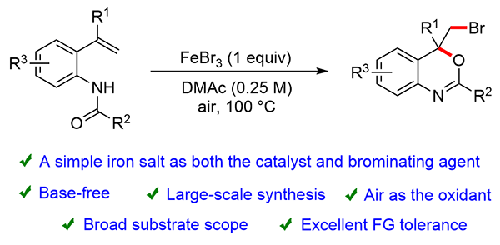 Iron-Mediated Bromocyclization of Olefinic Amides for the Synthesis of Bromobenzoxazines