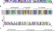 Identification and expression analysis of nuclear factor Y transcription factor genes under drought, cold and Eldana infestation in sugarcane (Saccharum spp. hybrid).