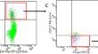 Exploring CCR5 + T regulatory cell subset dysfunction in type 1 diabetes patients: implications for immune regulation.