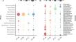 Gene-centered metagenome analysis of Vulcano Island soil (Aeolian archipelago, Italy) reveals diverse microbial key players in methane, hydrogen and sulfur cycles