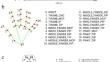 An Automatic Approach of Video-Based Landmark Detection and Movement Analysis for Assessing Symptoms of Bradykinesia in Parkinson’s Disease