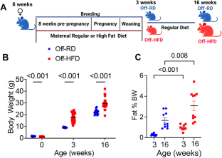 Metabolic abnormalities in the bone marrow cells of young offspring born to mothers with obesity