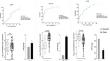 Non-Mutational Changes of Autophagy Marker LC3A in Patients with Acute Myeloid Leukemia; Effect of DNA Methylation and Expression Level of LncRNA-GAS5 and miRNA-155-5p, A Case Control Study