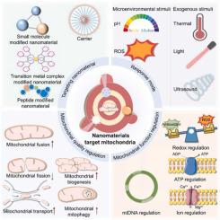 Mitochondrial targeted nanomaterials for alleviating inflammation