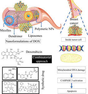 A comprehensive review on doxorubicin: mechanisms, toxicity, clinical trials, combination therapies and nanoformulations in breast cancer.