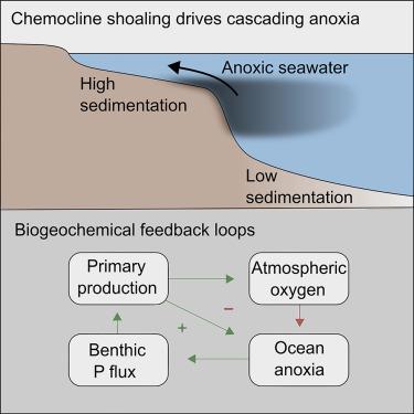 Cascading oxygen loss shoreward in the oceans: Insights from the Cambrian SPICE event