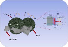 Porous polyaniline/flower-like hybrid phase MoS2/phosphorus-doped graphene ternary nanocomposite for efficient room temperature ammonia sensors