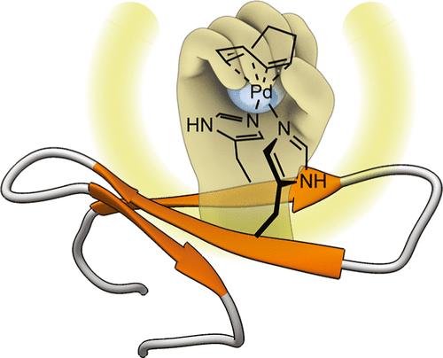 De Novo Engineering of Pd-Metalloproteins and Their Use as Intracellular Catalysts