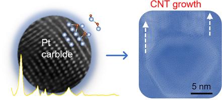 Transitional surface Pt carbide formation during carbon nanotube growth