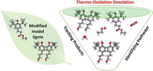 Tracking Thermo-Oxidation Reaction Products and Pathways of Modified Lignin Structures from Reactive Molecular Dynamics Simulations