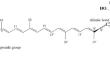 A Review of Fucoxanthin Biomanufacturing from Phaeodactylum tricornutum.