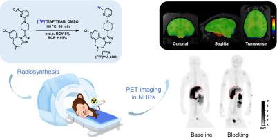 Discovery and evaluation of a novel 18F-labeled vasopressin 1a receptor PET ligand with peripheral binding specificity