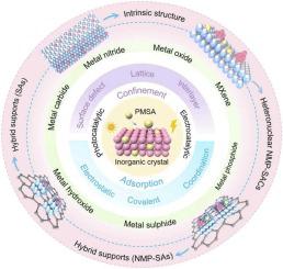 Inorganic crystal-supported precious metal single-atom catalysts for photo/electrocatalysis