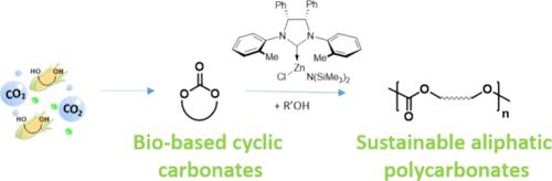 CO2‑Based Polycarbonates through Ring-Opening Polymerization of Cyclic Carbonates Promoted by a NHC-Based Zinc Complex