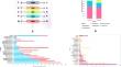 Impact of Organophosphates on Diversity and Functional Characteristics of Phyllosphere Bacterial Communities of Solanum melongena